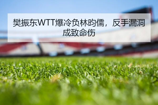 樊振东WTT爆冷负林昀儒，反手漏洞成致命伤